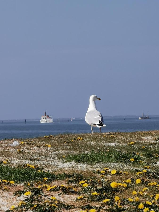 Kleinaberfein An Der Nordseekueste Schweindorf Екстер'єр фото